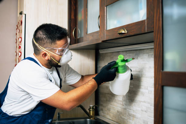 Best Cockroach Control Services  in Oakwood, OH