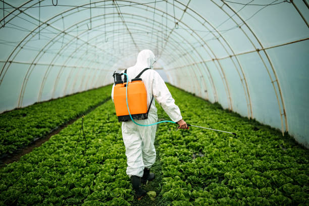 Best Commercial Pest Control Services  in Oakwood, OH