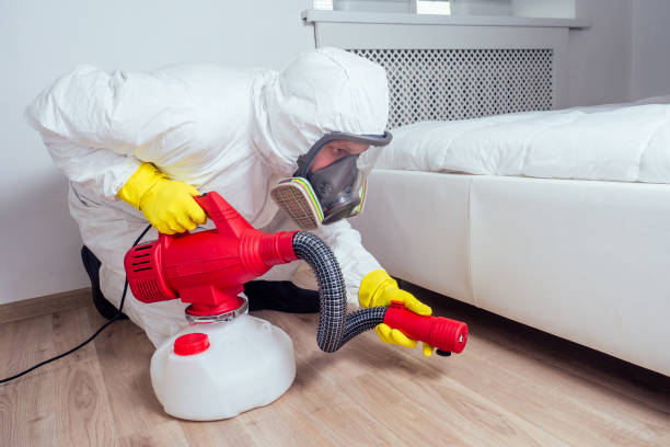 Best Wasp Removal Services  in Oakwood, OH