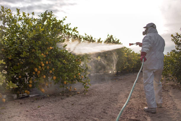 Best Pest Prevention Services  in Oakwood, OH